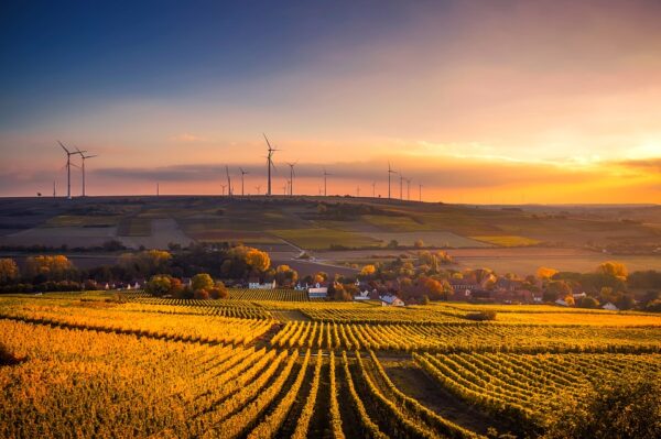 5 Countries Leading the Production of Renewable Energy