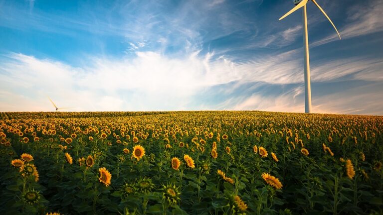 Wind Turbines choose nuclear free